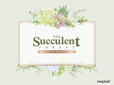 Hand drawn succulent recrangle frame template vector