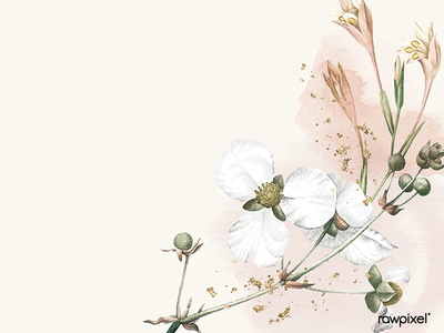 White flower on a beige background vector template background branding feminine florals glitter illustration pink vector