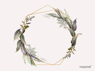 Tropical botanical frame design vector