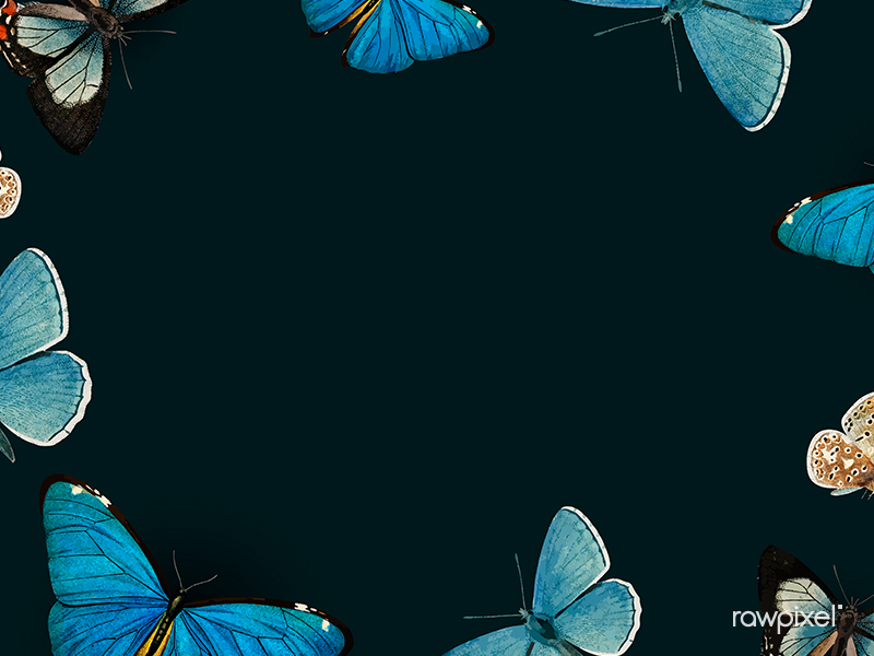 Blue butterflies patterned on black vector by Kappy on Dribbble