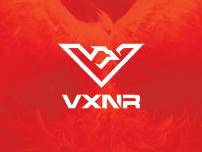 Vnxr 01