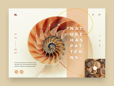 #NatureHasPatterns 02 app application concept design desktop design digital nature responsive design responsive web design sketch ui ui design ux web concept webdesign xd design