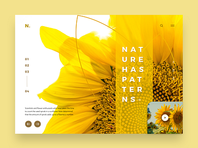 #NatureHasPatters 03 app application design concept concept design desktop design digital goldenratio minimalistic mobile nature responsive responsive design sketch ui uiuxdesign ux web webdesign xd design