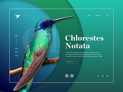 Colourful Nature Landing Page 01