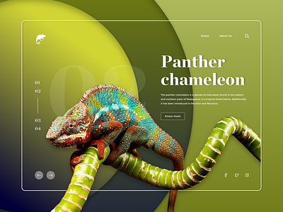 Colourful Nature Landing Page 02