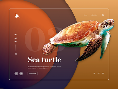 Colourful Nature Landing Page 03