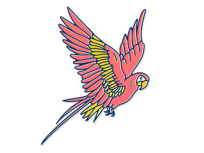 Pink Parrot bird blue design parrot pink tropical vector yellow