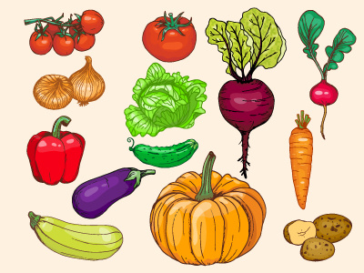 Vegetables beets cabbage cherry tomato cucumber food onion pepper set tomato vector vegetable