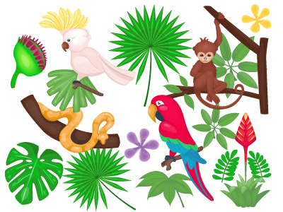 Rainforest animal cockatoo illustration jungle leaf monkey nature parrot plant rainforest tropical vector