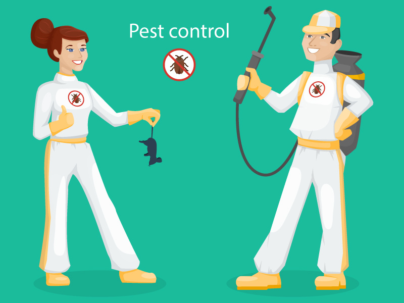 Pest Control by Elena Nesterova on Dribbble