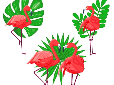 Flamingo beach beautiful bird cartoon design exotic flamingo flamingos flat illustration jungle leaf leaves monstera nature palm pink summer tropical vector