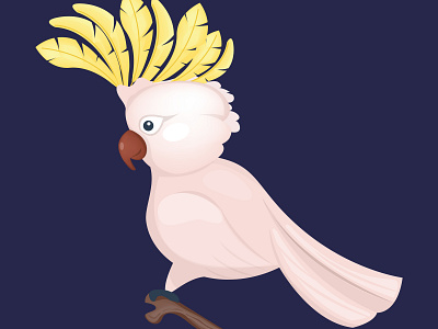 Cockatoo animal bird cartoon character child cockatoo cute design illustration jungle kids parrot tropical vector