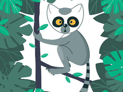Lemur in the Forest
