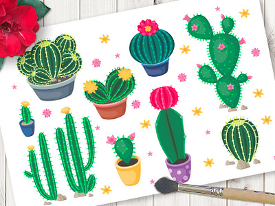 Cactus set