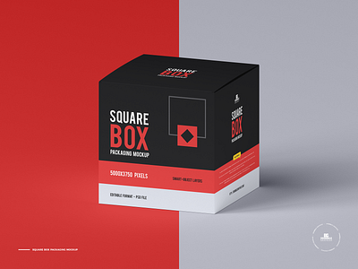 Free Square Box Mockup