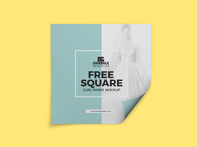 Free Square Curl Paper Mockup
