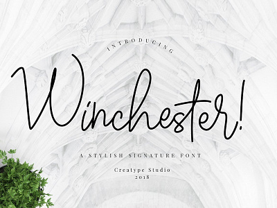 Free Winchester Script Font Demo 2018