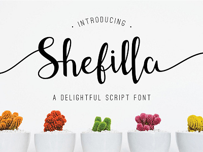 Free Shefilla Script Font Demo 2018