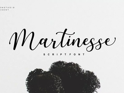 Free Martinesse Beautiful Script Demo font free font freebie freefonts script script font script lettering script type