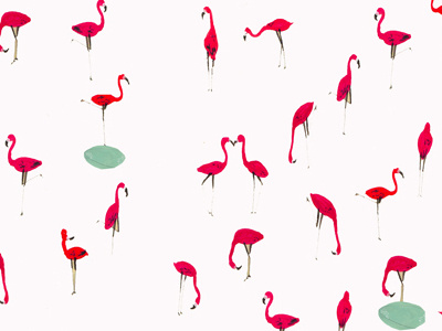 flamingos flamingos