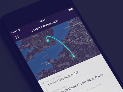 Flight Path Overview airport app design flight ios iphone app map mobile app overview pin ticket ui