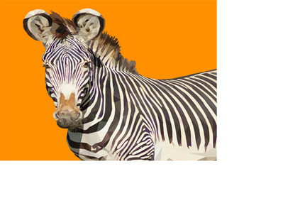 Zebra adobeillustrator design graphic design illustration illustrator low poly low poly design lowpolyart vector zebra