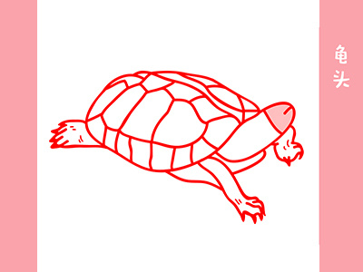 Tortoise head illustration line