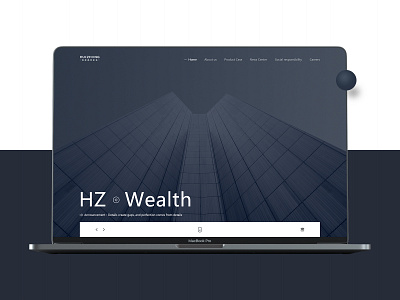 Hz Wealth ui 设计 金融 页