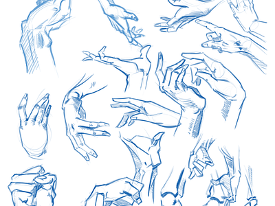 100hands anatomy design figure drawing illustration