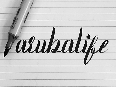 Aruba Life Logo Design branding brushcalligraphy calligraphy copic handlettering lettering logo design typography