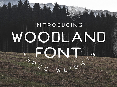 Woodland Font design font lettering rustic typeface vintage