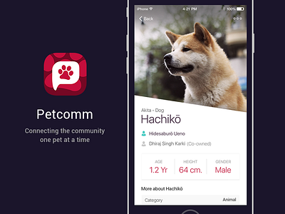 PetComm - Connecting the community one pet at a time app for pets connect dog ios mobile app pet pet lovers petcomm social network