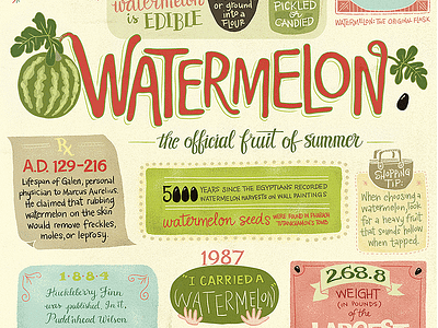 Watermelon 101 food hand lettering illustration watermelon