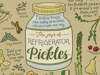 The whole jar o' pickles food hand lettering illustration