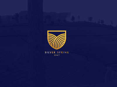 Silver Spring Branding brand identity branding chennai identity identity design lettering logo logodesign
