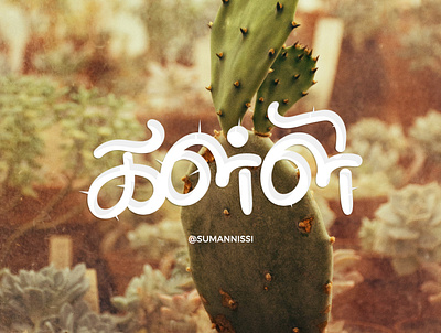 அடி போடி கள்ளி, சப்பாத்தி கள்ளி. . caligraphy chennai illustration logotype tamilnadu tamiltypography typeface typo typography typolove