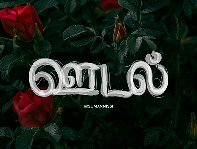 ஊடுதல் காமத்திற்கு இன்பம் அதற்கின்பம் கூடி முயங்கப் பெறின். caligraphy illustration letter lettering tamil tamiltypography typography