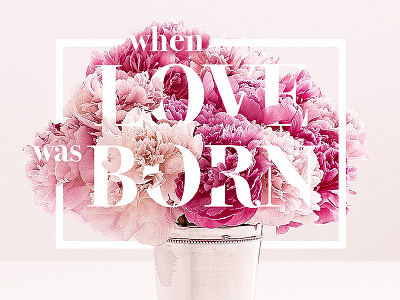 When Love was Born christmas floraltype floraltypography flowers love type typography