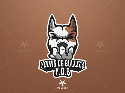 Young OG Bullies Logo branding design graphic design icon illustration logo