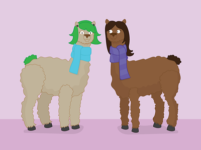 Alpacas With Scarves