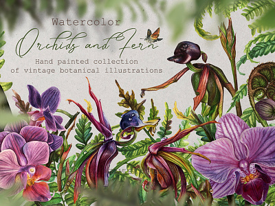 Watercolor Vintage Botany art branding creative market design drawing illustration painting plants traditional art watercolor