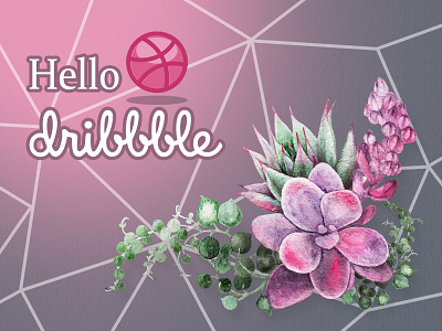 Hello Dribbble hello painting succulents watercolor