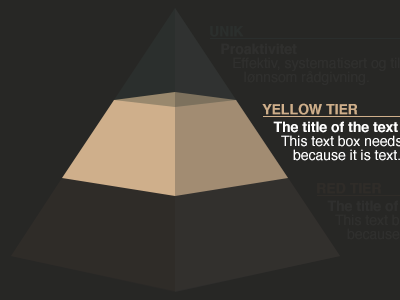 Infographic infographic presentation pyramid vector