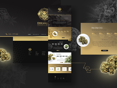 Web Design for Cannabis company "Dreamline" cannabis cannabis design cbd classic clean clean design concept design gold rasta thc web webdesign website