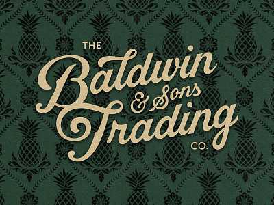 Baldwin & Sons Trading Co. LogoType branding calligraphy logotype pattern