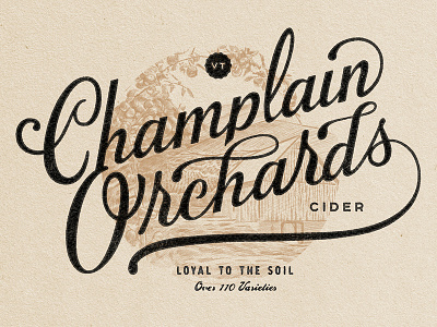 Champlain Orchards Logo branding calligraphy creative agency illustration logo logotype
