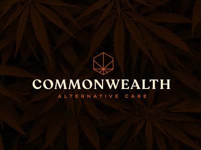 CAC Logo branding creative agency design dispensary logo logotype marijuana typography