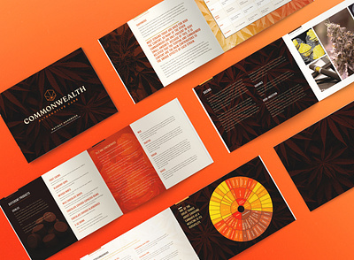 CAC Patient Handbook Design branding brochure creative agency design dispensary logo logotype marijuana typography