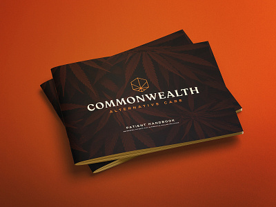 CAC Brochure Cover branding creative agency design logotype typography vector