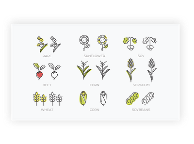 ICON SET agricultural flat icon icons illustration